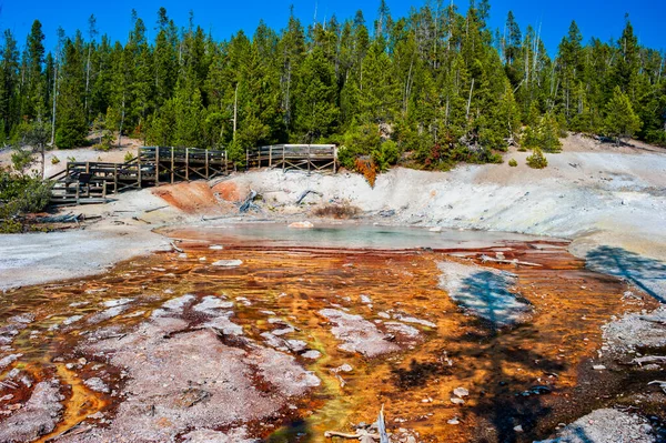 Boardwalk around thermal spring by in Yellowstone National Park