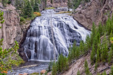 Gibbon Falls, Wyoming 'deki Yellowstone Ulusal Parkı' nda. 