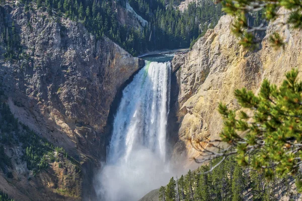 Yellowstone Falls: River, Grand Canyon, National Park, Montana MT — Stock fotografie