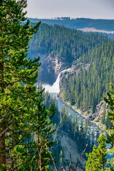 Yellowstone Falls: rivier, Grand Canyon, Nationaal Park, Montana MT — Stockfoto