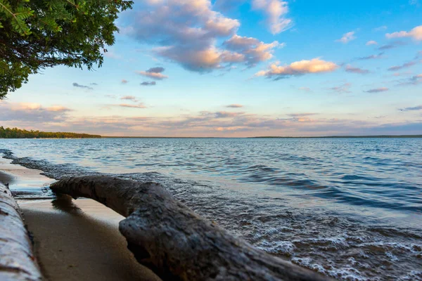 Hermosa orilla del lago Higgins Lake State Park en el norte de Michigan. — Foto de Stock