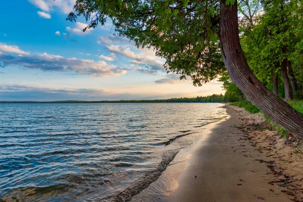 Mooie oever van Higgins Lake State Park in het noorden van Michigan. — Stockfoto