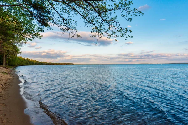Mooie oever van Higgins Lake State Park in het noorden van Michigan. — Stockfoto