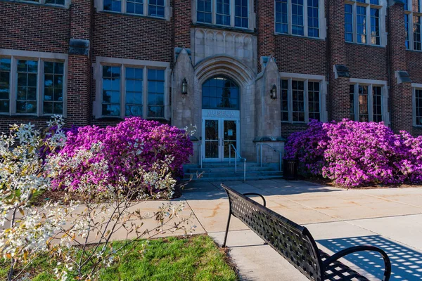 View of the Museum building entrance on the campus of MSU — Stock Photo, Image