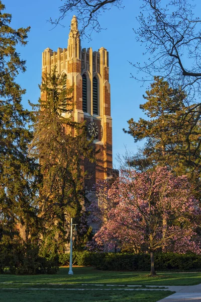 Památník Beaumont Tower Carillon na kampusu Michigan State University — Stock fotografie