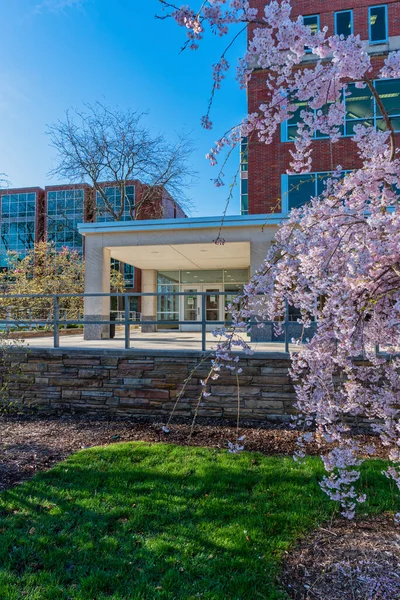 Vista da biblioteca principal no campus da Universidade Estadual de Michigan — Fotografia de Stock