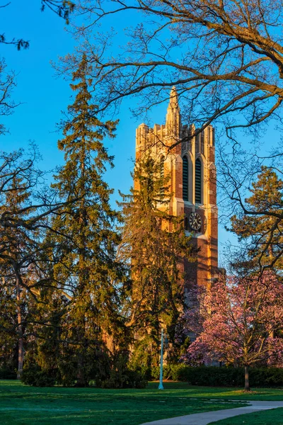 Punto di riferimento Beaumont Tower carillon nel campus della Michigan State University — Foto Stock