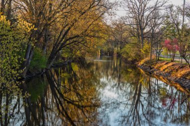 Kırmızı Cedar nehri Michigan Eyalet Üniversitesi kampüsünden geçiyor..