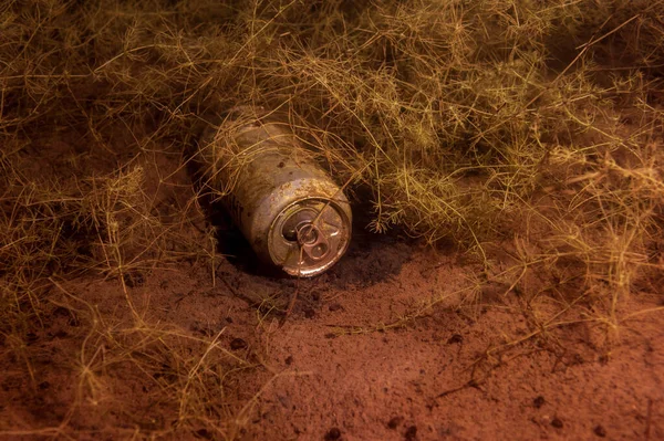 CHARLOTTE, MI - 12 DE SEPTIEMBRE: Lata de cerveza Bud Light usada en el fondo del lago Crandell en Charlotte el 12 de septiembre de 2020. —  Fotos de Stock