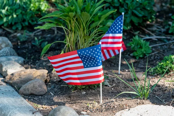 花壇の小さなアメリカ合衆国の旗の低角度ビュー — ストック写真