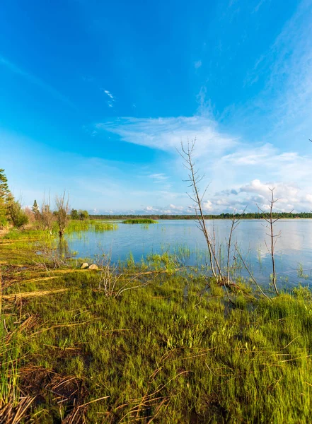 Bela margem do lago de Duncan Bay no Cheboygan State Park, no norte de Michigan. — Fotografia de Stock