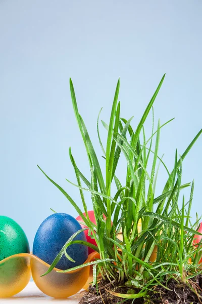 Easter colored eggs — Stock Photo, Image