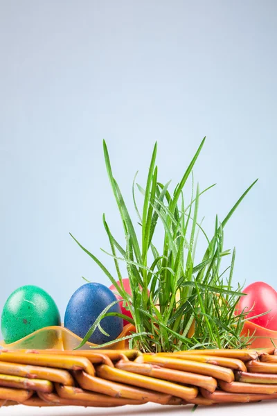 Easter colored eggs — Stock Photo, Image