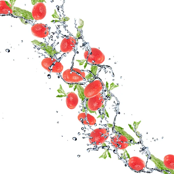 Saláta, paradicsom, elszigetelt fehér háttér és a víz Splashing — Stock Fotó