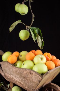 Yaz yeşil elma ve ahşap bir tekerlek siyah bir zemin üzerine kayısı