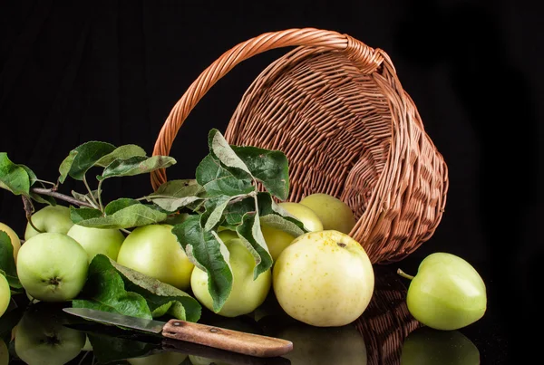 Summer green apples on a black background — Stock Photo, Image