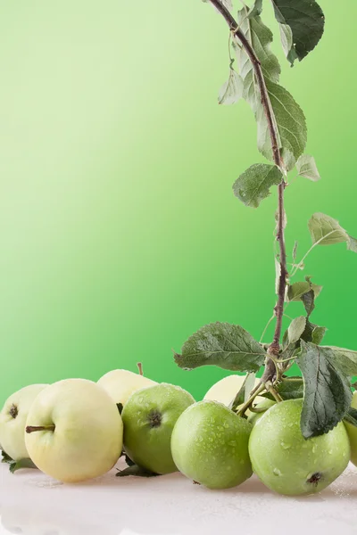 Varietà di mele estive su sfondo colorato — Foto Stock