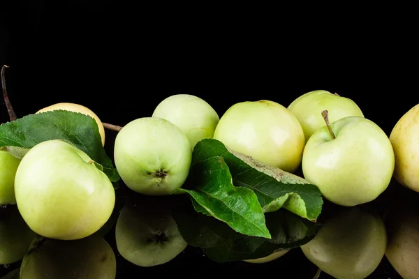 Summer green apples on a black background — Stock Photo, Image