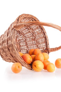 kayısı ve şeftali sepet beyaz bir arka plan üzerinde