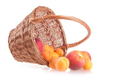 kayısı ve şeftali sepet beyaz bir arka plan üzerinde