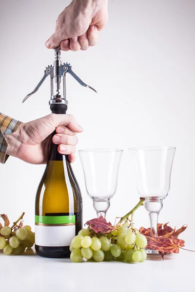 Bottle of white wine and a corkscrew for wine — Stock Photo, Image