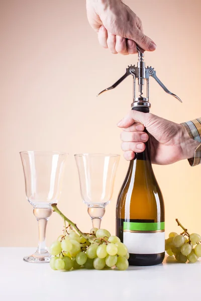 Bottle of white wine and a corkscrew for wine — Stock Photo, Image