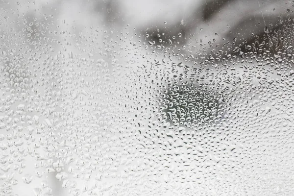 Gotas Agua Sobre Vidrio Invierno — Foto de Stock