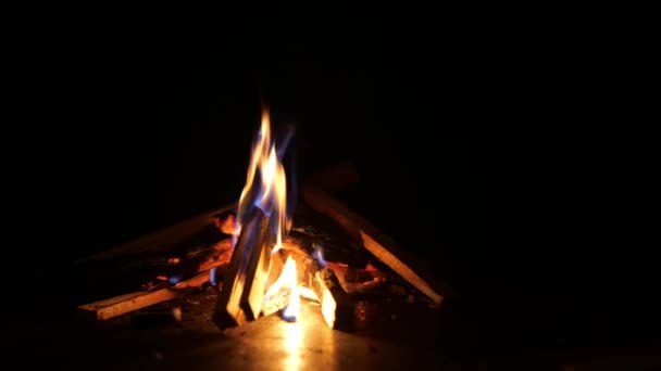 Tűz Lángok Egy Fekete Háttér — Stock videók
