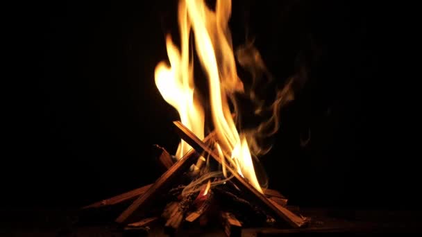 Fire Flames Black Background — Stock Video