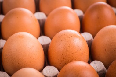 Tavuktan gelen Paskalya yumurtaları, doğal olarak. 