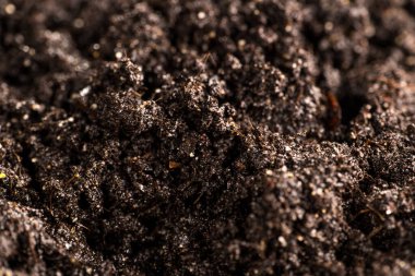 Bahçede sebze yetiştirmek için toprak 