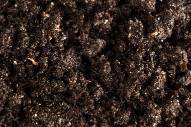 Bahçede sebze yetiştirmek için toprak 