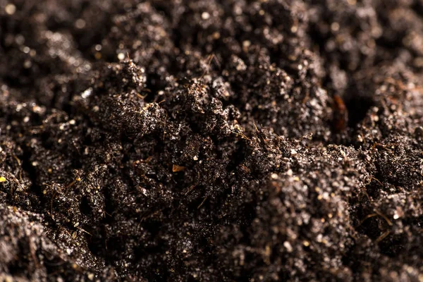 Bahçede sebze yetiştirmek için toprak 