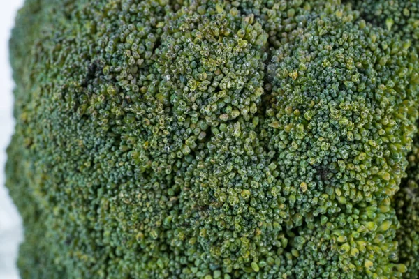 Gran Detalle Brócoli Sobre Fondo Blanco Con Cubitos Hielo Hielo —  Fotos de Stock