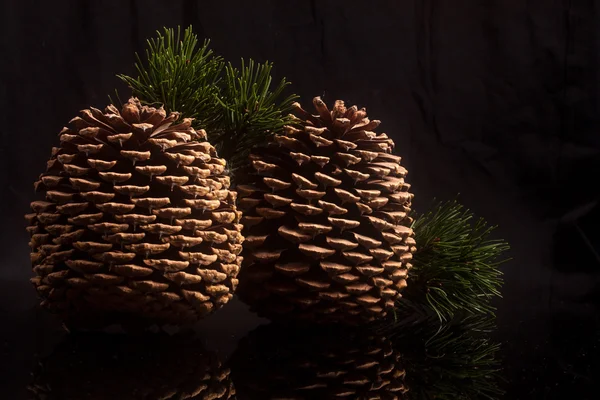 Cone on black background — Stock Photo, Image