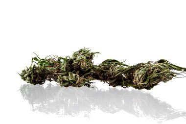 Beyaz bir arka plan üzerinde marihuana