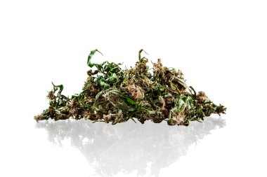 Beyaz bir arka plan üzerinde marihuana