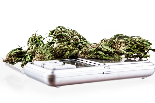 Marijuana sobre um fundo branco — Fotografia de Stock