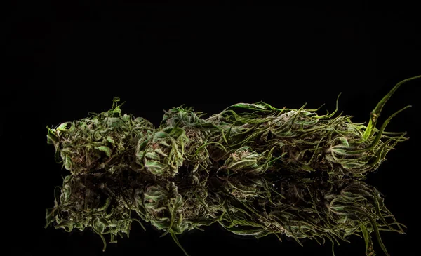 Cannabis på en svart bakgrund — Stockfoto