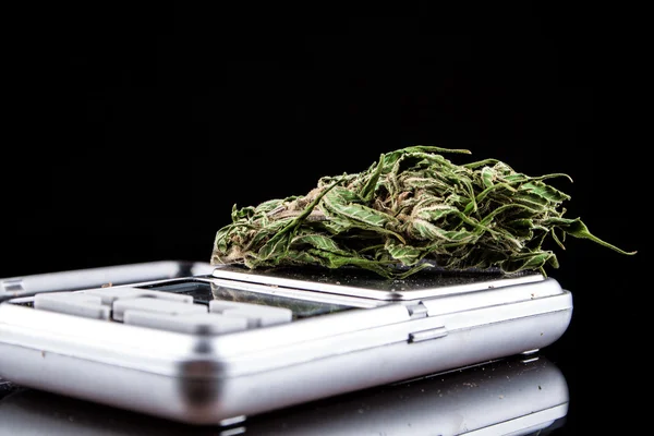 Cannabis em um fundo preto — Fotografia de Stock