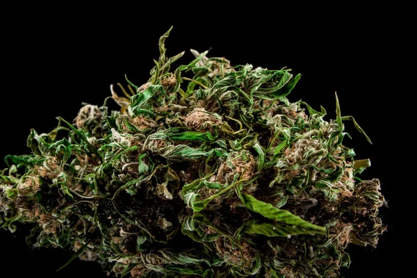 Cannabis su sfondo nero — Foto Stock