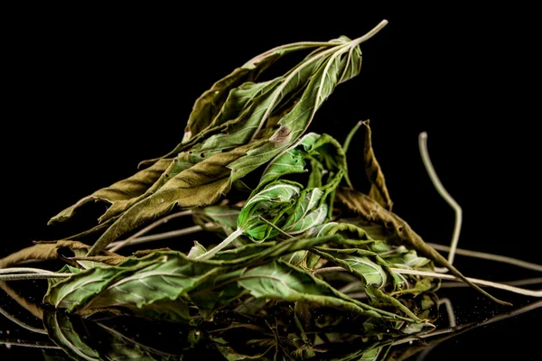 Cannabis on a black background — Stock Photo, Image