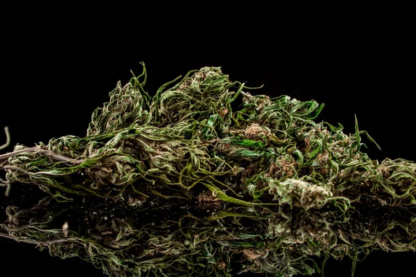 Cannabis su sfondo nero — Foto Stock