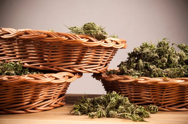 Großes Cannabis-Pflanzen-Detail auf Holztisch — Stockfoto