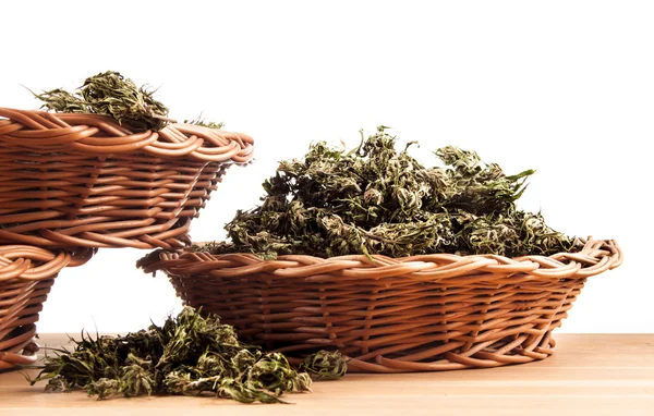 Grande canabis maconha planta detalhe na mesa de madeira — Fotografia de Stock