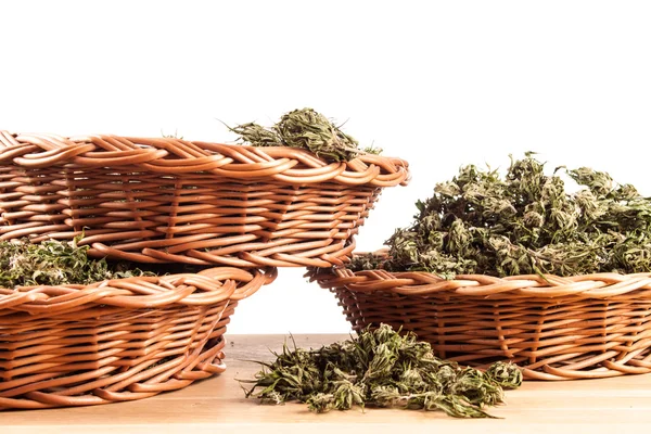 Großes Cannabis-Pflanzen-Detail auf Holztisch — Stockfoto