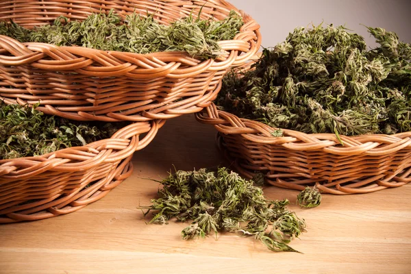 Gran detalle de planta de marihuana canabis en mesa de madera Imagen de archivo