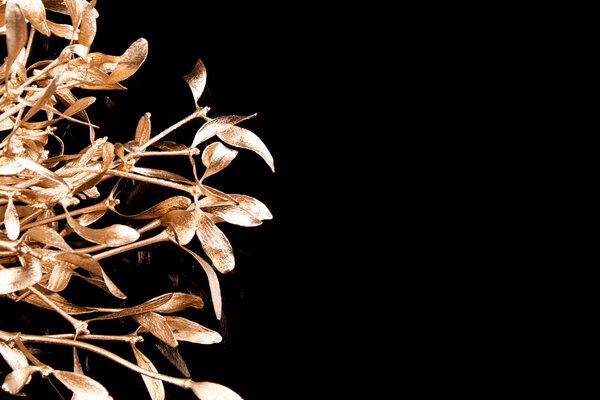 Gold mistletoe on black background