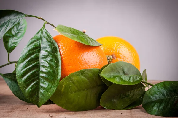 Oranges with shoots on a wooden table — Stock Photo, Image