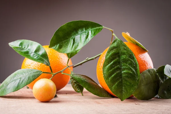 Naranjas con brotes sobre una mesa de madera —  Fotos de Stock